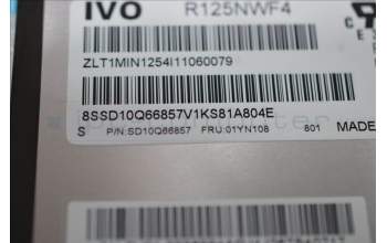 Lenovo 01YN108 DISPLAY IVO 12.5 FHD IPS touch