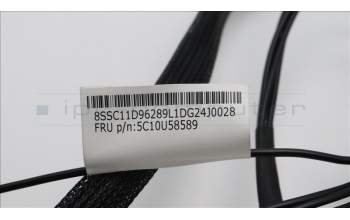 Lenovo 5C10U58589 CABLE Fru,Manual HDD Tray SAS Cable_TCO8