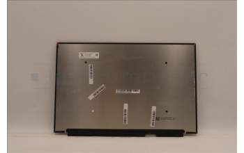 Lenovo 5D11D96533 DISPLAY FRU CS MNG007DA1-A WQXI AG S NB