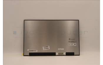 Lenovo 5D11H29622 DISPLAY FRU MNG007DA1-E 16WQX Color CSO