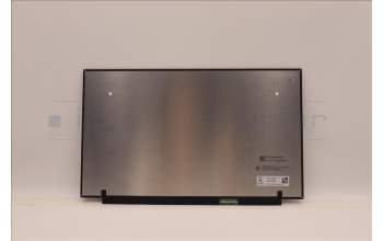 Lenovo 5D11H56204 DISPLAY FRU CSO MNF601CA1-3 15.6