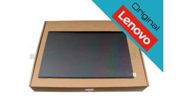 Alternativa para Lenovo MT2N44H91DAB-ZK0170 IPS pantalla (1920x1200) mate 165Hz