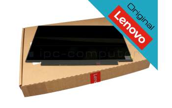 Lenovo 02DC318 original IPS pantalla FHD (1920x1080) mate 60Hz (altura 19,5 cm)