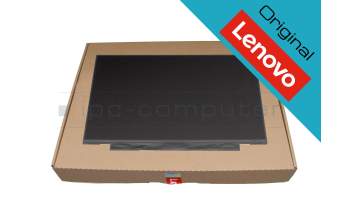 Lenovo 02HL713 original Toque IPS pantalla FHD (1920x1080) mate 60Hz