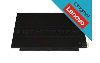 Lenovo SD10T09276 original TN pantalla HD (1366x768) mate 60Hz