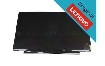 Lenovo SD10W08497 original TN pantalla HD (1366x768) mate 60Hz