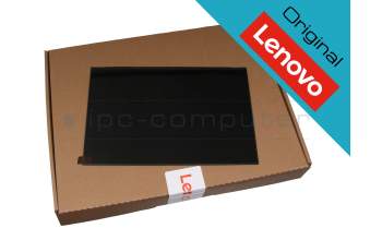 Lenovo SD11A22494 original IPS pantalla WUXGA (1920x1200) mate 60Hz