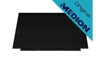 Medion Erazer P15805 (NH55RCQ) original IPS pantalla FHD (1920x1080) mate 144Hz