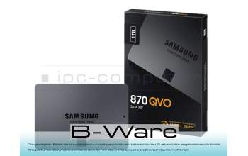 SSD1TR SSD 1TB (2,5 pulgadas / 6,4 cm) b-stock