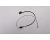 Lenovo 5C10J36139 CABLE LCD Cable C E31-70 EDP