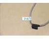 Lenovo 90202146 C240 CONVERTER CABLE