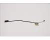 Lenovo 5C10S30317 CABLE EDP Cable L 82QT