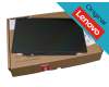 Lenovo 00HM081 original TN pantalla HD (1366x768) mate 60Hz